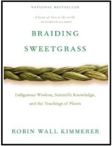 Braiding Sweetgrass cover