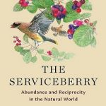 Cover for The Serviceberry